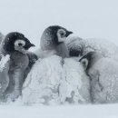 인사이트 이미지