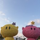 뽀글리 | 10월 일상 보고 갈게요 ~