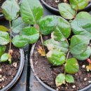 아침농장 이미지