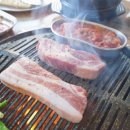 수원-1207 이미지