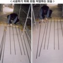 이티농장 이미지