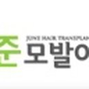 준헤어라인 이미지
