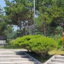 대한민국특수임무유공자회 이미지