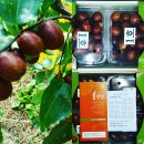 합자 도시락 이미지