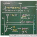 제46회 한국사능력검정시험 고급 해설