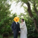 정은아헤어 - 영등포구 | 서울 웨딩스튜디오로 추천하는 그리너리한 느낌 지엥마지 (정은아 작가님/feat.헤어변형)