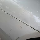 양지모터스 이미지