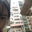 🇭🇰 홍콩에서 살아남기˚₊✩‧₊