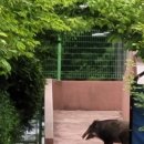 조수초등학교 이미지