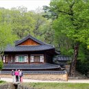 불영사주차장 | 경북 울진 여행코스 불영사 봄 방문 후기