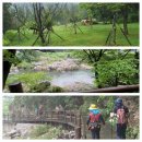 (발모음) 7 / 27 (운일암.반일암)산행&amp;야유회《차량 시간표》 이미지