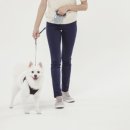 스타동물의료센터 이미지