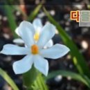 그레이스 힐링 이미지