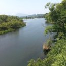 원산청둥오리 - 영도구 절영로 10-3 | DMZ 생태평화공원 입니다