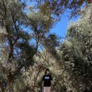 엘에이농장 이미지