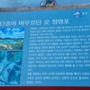 기아오토큐영월점