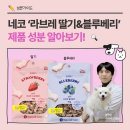 라브레 이미지