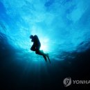 한수풀인력 이미지