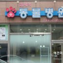 21세기동물병원 이미지
