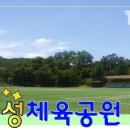 적성체육공원 축구장 이미지