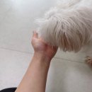 인섹트 파워 이미지