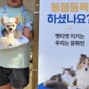 한국필립모리스 주식회사