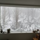 순리대로내몸건강 이미지