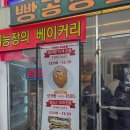 빵공장 소운 | [가지마 나만 갈꺼니까] 고기리 빵공장 소운 후기｜맘모스빵 할인시간 꼭 확인하세요!