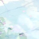 우리정식