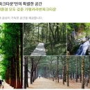 엘도라도카라반파크