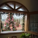 스텔라의 행복정원 이미지