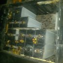 동아원 | 배터리 재생,복원 현장 보고서 / 굿 셀 (2014년 1월 ~ 3월)