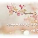 [이지네일]레이스플라워네일/Y104,웨딩네일,셀프네일,셀프젤네일
