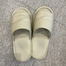 펄즈데뷰티