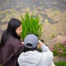 플라워사랑 이미지