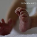 예일퀸스하우스산후조리원 이미지