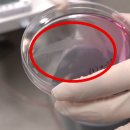 경화헬스 이미지