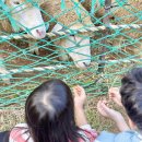 다복목장 이미지