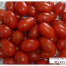 덕명농장 이미지