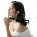 뮤즈포토그라피