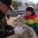 준영목장 이미지