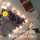 샤인아트 이미지