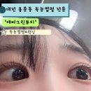 [대전/서구] 대전 속눈썹펌•왁싱 전문 샵 애버그린뷰티 추천후기👀💛