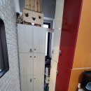 뱅갈온니 이미지