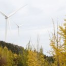 동국건설태양광발전소 이미지