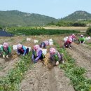 비금농업협동조합 이미지