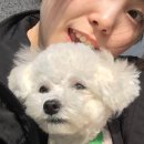 구로다나은동물병원 | [경기/시흥] 동물병원 정착 완료, 이산동물의료센터 과잉 진료 없는 찐후기 🐶