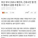 부산 부녀 코로나 확진자, 간호사인 딸 먼저 병원서 감염 추정 이미지