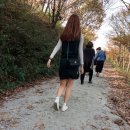 둔내목장 이미지