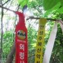 입석초교 이미지